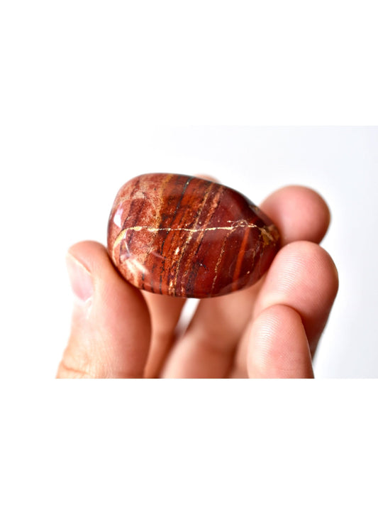 Open Heart Apothecary Red Jasper Palm Stones Natural Grounding Crystals